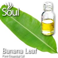 Pure Essential Oil Banana Leaf - 10ml