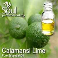 Pure Essential Oil Calamansi Lime - 50ml